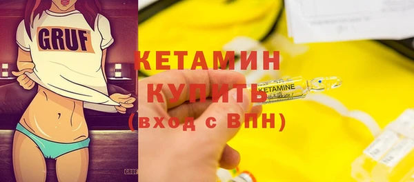 шишки Лабытнанги