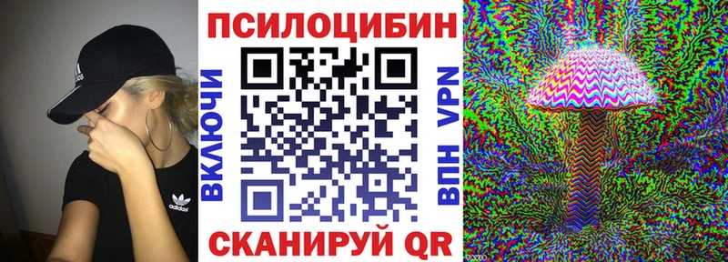 Купить закладки  Канск  Псилоцибиновые грибы MAGIC MUSHROOMS 